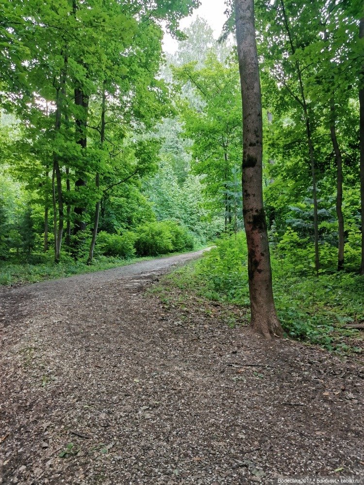 Лес скучал без меня — Винтажные куклы ГДР (Немки): Бигги