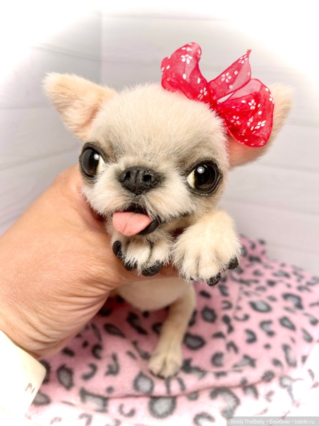 Мэрилин ☺️🐶🐾🐾🐾 — Реалистичные игрушки и звери (Натюр): собаки