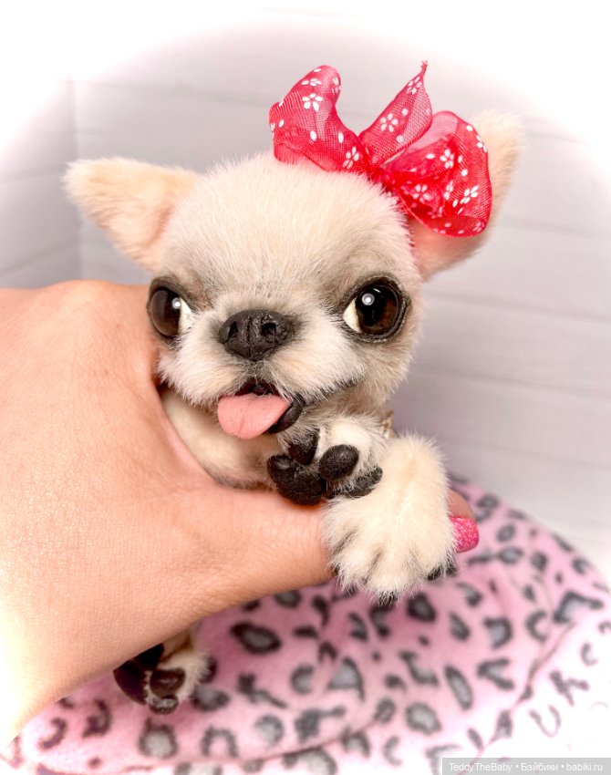 Мэрилин ☺️🐶🐾🐾🐾 — Реалистичные игрушки и звери (Натюр): собаки