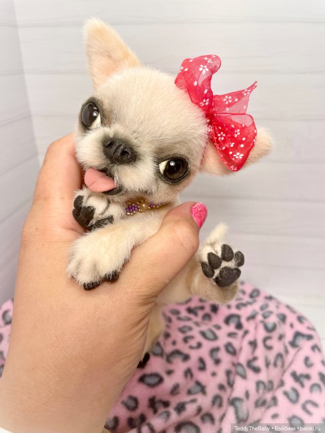 Мэрилин ☺️🐶🐾🐾🐾 — Реалистичные игрушки и звери (Натюр): собаки (фото 7)