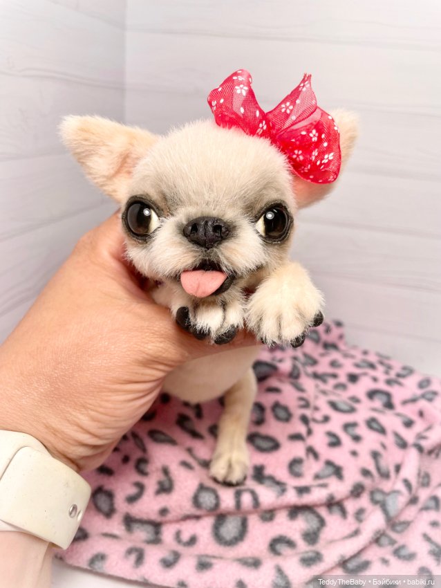 Мэрилин ☺️🐶🐾🐾🐾 — Реалистичные игрушки и звери (Натюр): собаки