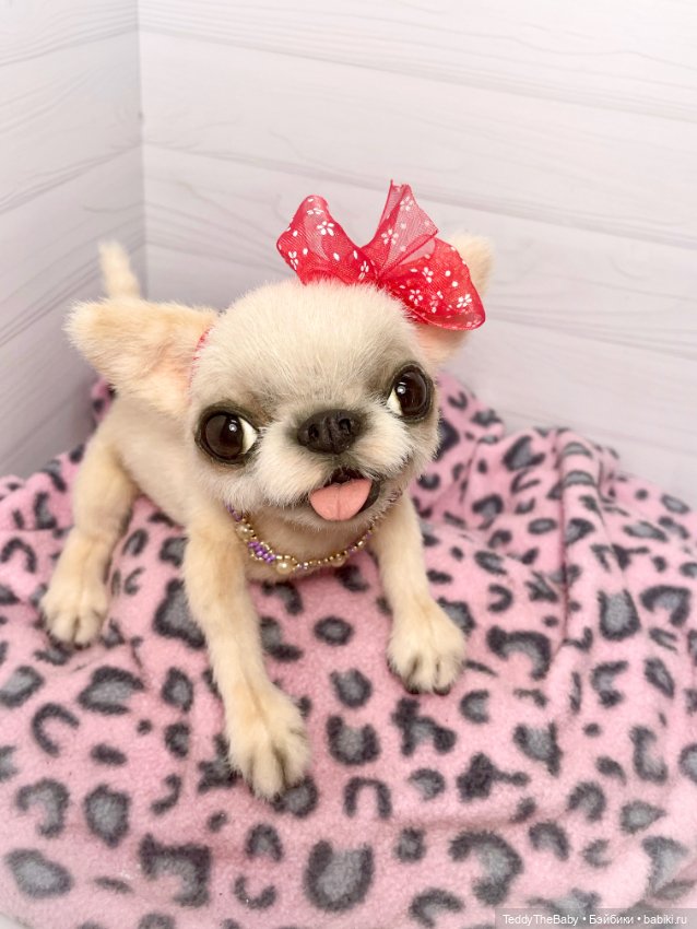 Мэрилин ☺️🐶🐾🐾🐾 — Реалистичные игрушки и звери (Натюр): собаки (фото 2)