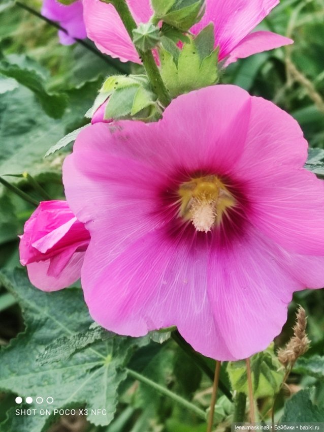 Паолочка-лето — Куклы Paola Reina (Паола Рейна): новинки