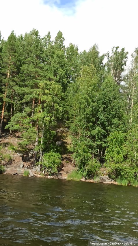 Лягушка-путешественник или как Люк в Карелию ездил