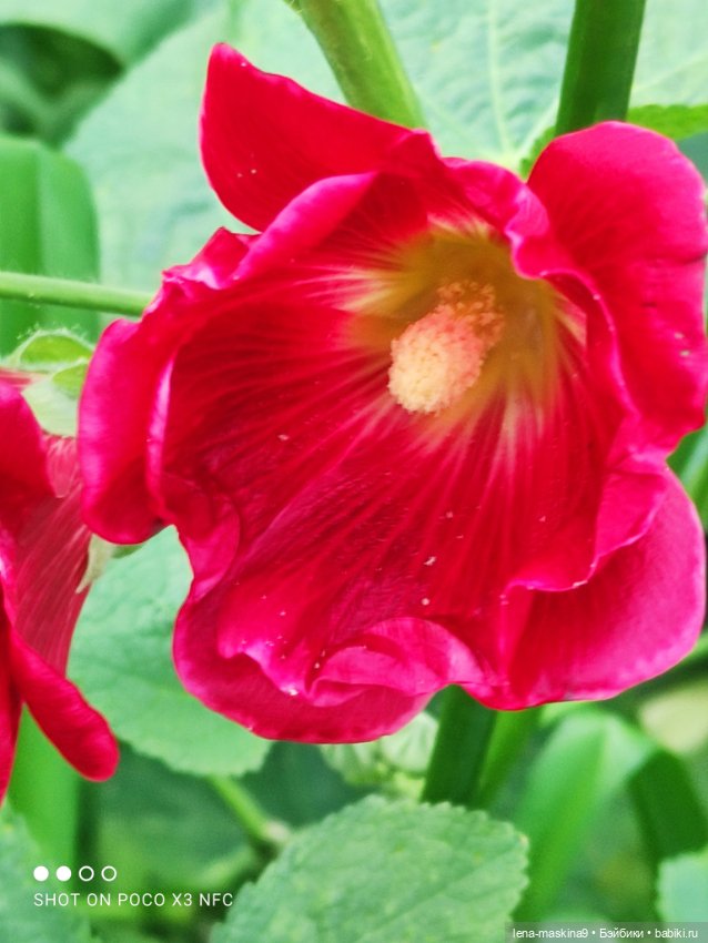 Паолочка-лето — Куклы Paola Reina (Паола Рейна): новинки