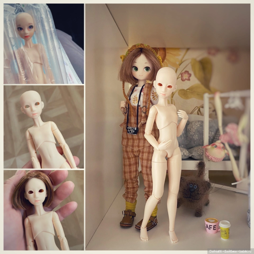 Нонна — Куклы и тела Obitsu (Обитсу): 1/6