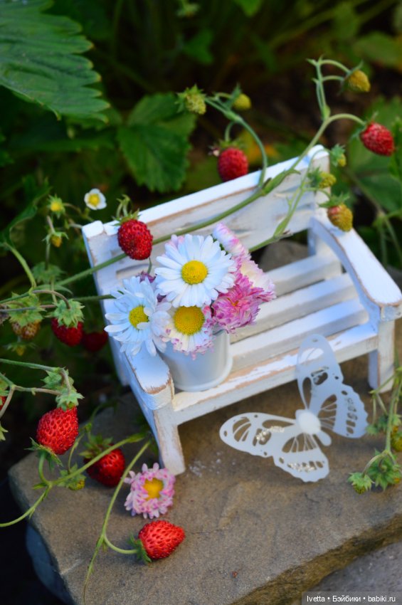 Ягодная пора. Pukifee Zoe