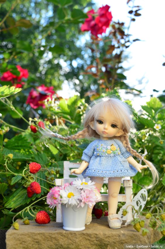 Ягодная пора. Pukifee Zoe (фото 4)
