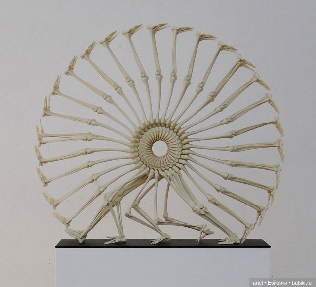 Скульптуры от Моники Горчицовой (Monika Horčicová) (фото 3)