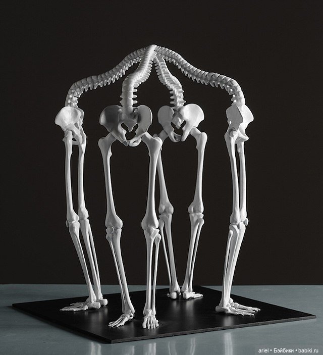 Кости. Скульптура из костей. Композиция из костей.