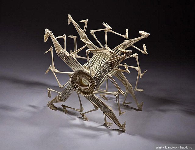 Скульптуры от Моники Горчицовой (Monika Horčicová) (фото 6)