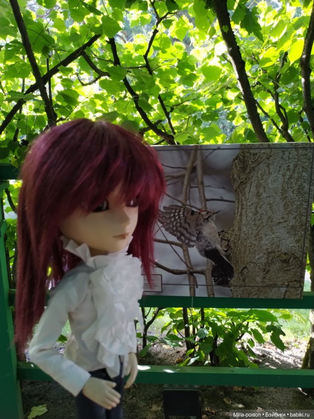 Манабу Сато гуляет по усадьбе Архангельское (фото 8)