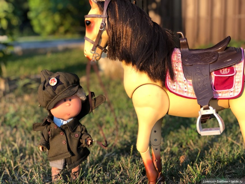 В поле с конём. Один из Д'онилов (фото 7)