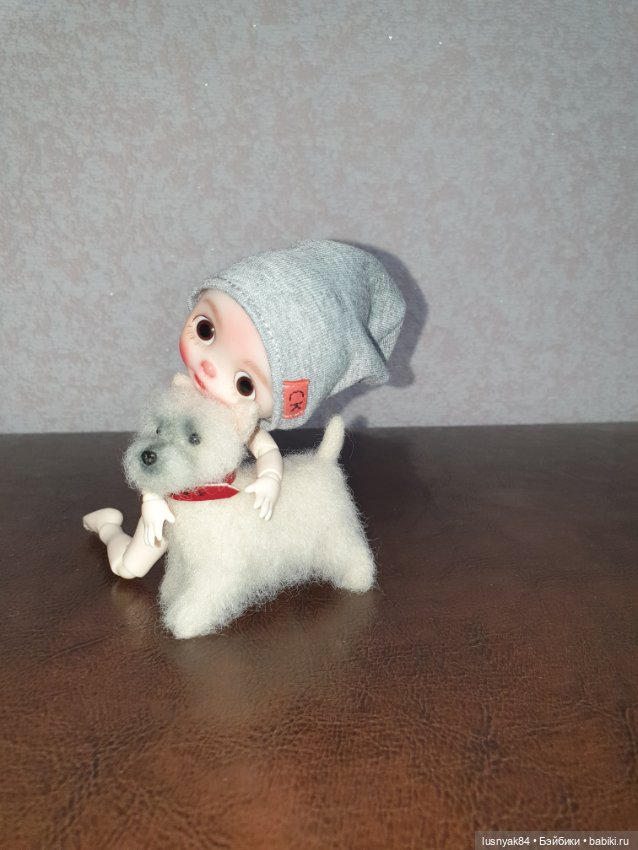 Дружок — Куклы и тела Obitsu (Обитсу): 1/6