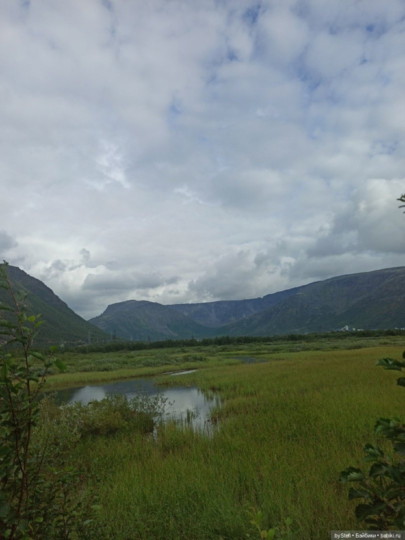 Немножко природы. Грибочки. 1 августа 2022 (фото 3)