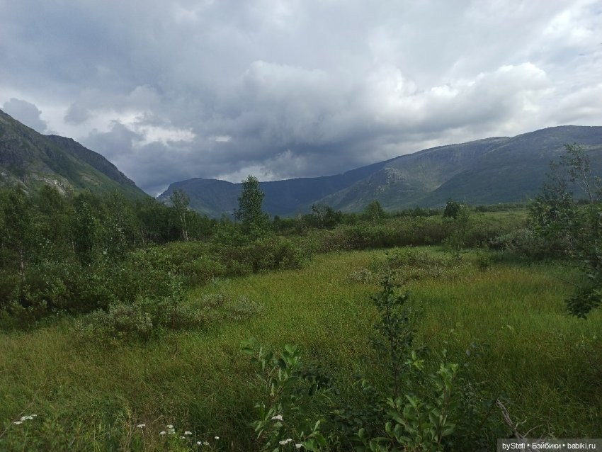 Немножко природы. Грибочки. 1 августа 2022