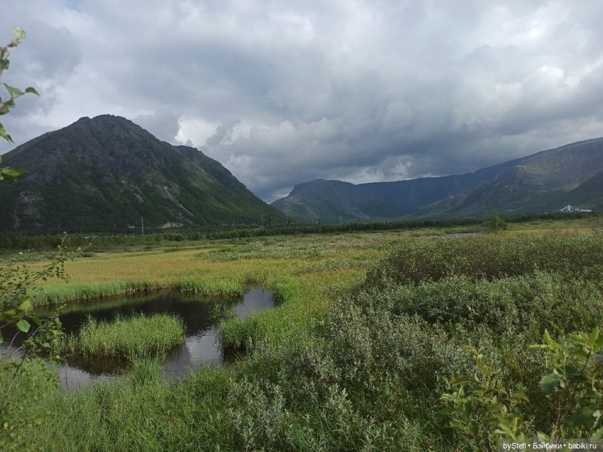 Немножко природы. Грибочки. 1 августа 2022