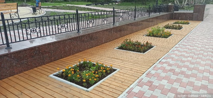 Немножко природы. Грибочки. 1 августа 2022