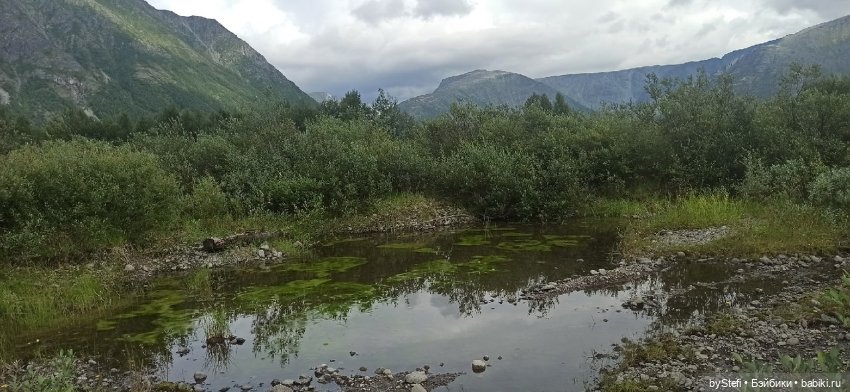 Немножко природы. Грибочки. 1 августа 2022