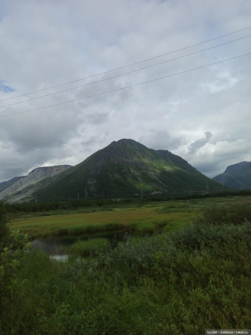 Немножко природы. Грибочки. 1 августа 2022 (фото 5)