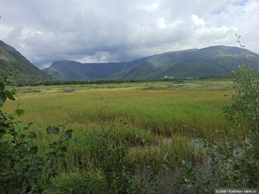 Немножко природы. Грибочки. 1 августа 2022