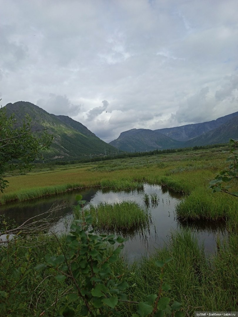 Немножко природы. Грибочки. 1 августа 2022 (фото 4)