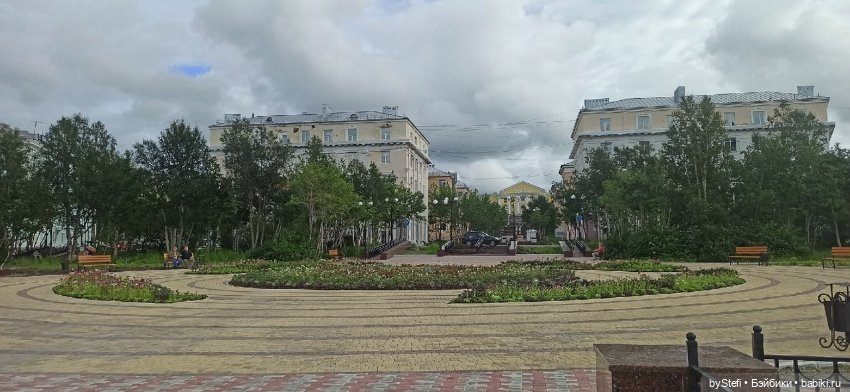 Немножко природы. Грибочки. 1 августа 2022 (фото 2)