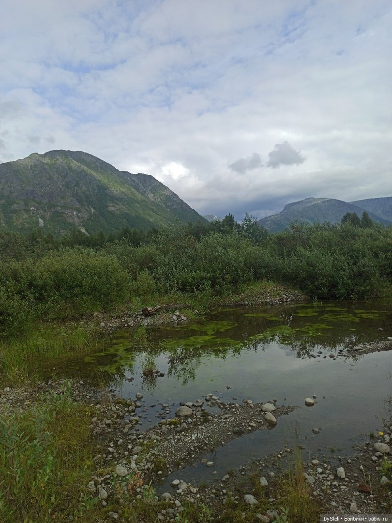 Немножко природы. Грибочки. 1 августа 2022