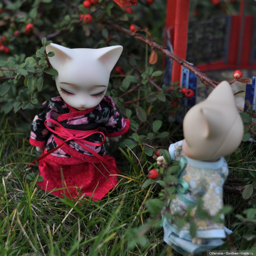 КОТайские церемонии — Куклы Pipos (Пипос): BJD (БЖД) (фото 4)