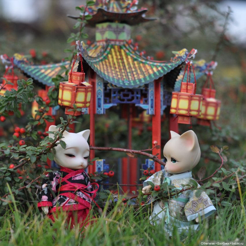 КОТайские церемонии — Куклы Pipos (Пипос): BJD (БЖД)