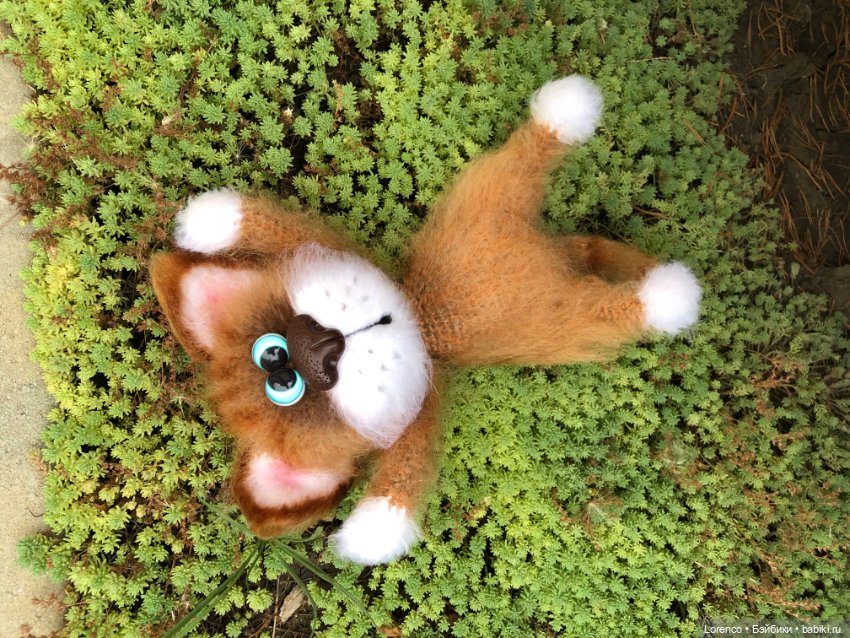 Сладуны и интересности. Для настроения