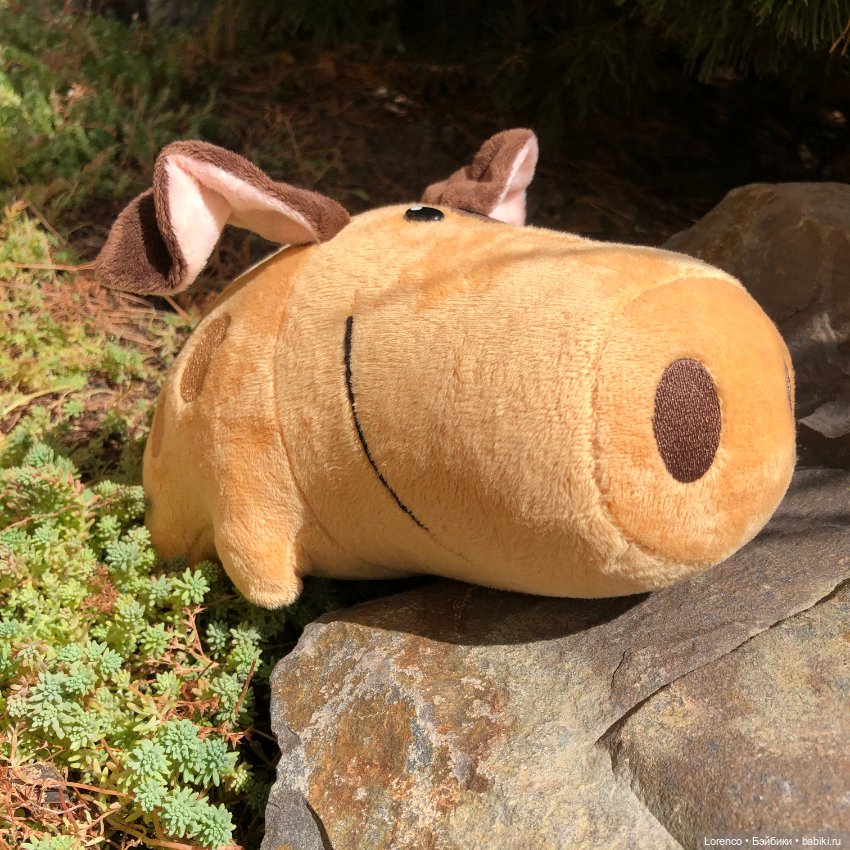 Сладуны и интересности. Для настроения (фото 4)