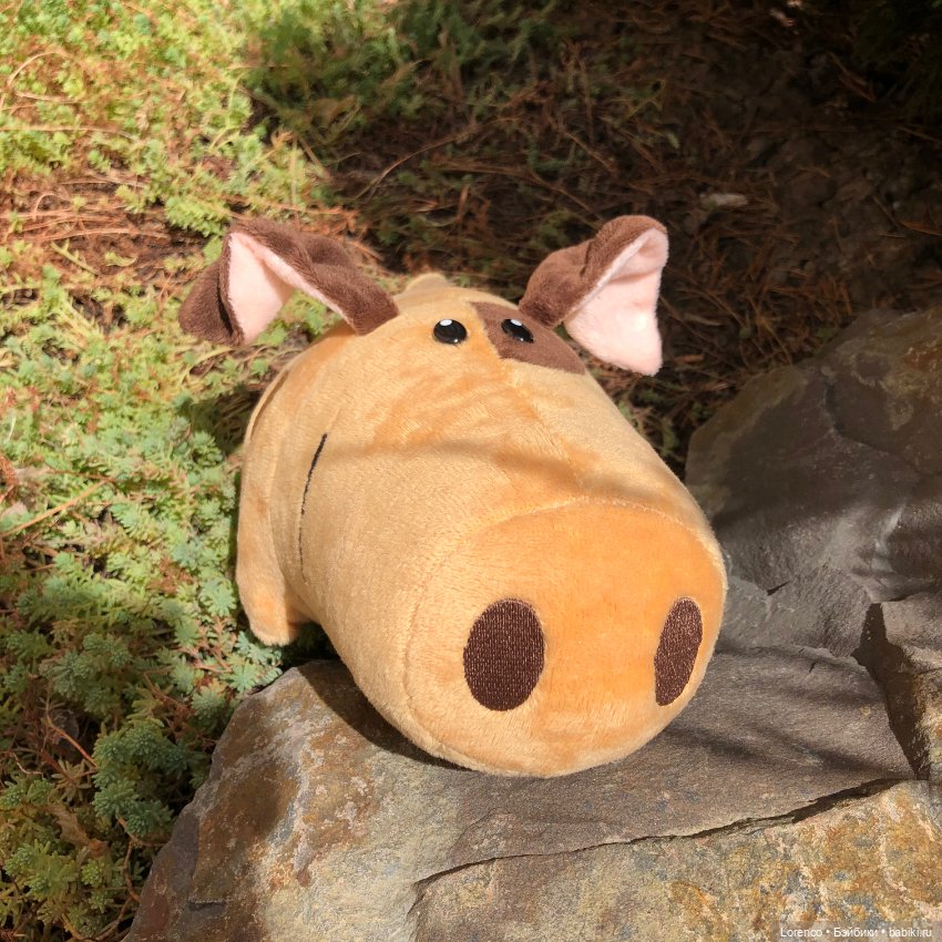 Сладуны и интересности. Для настроения (фото 3)