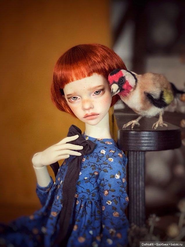 Ильза — Куклы DIM (Doll in Mind): корейские BJD (БЖД)