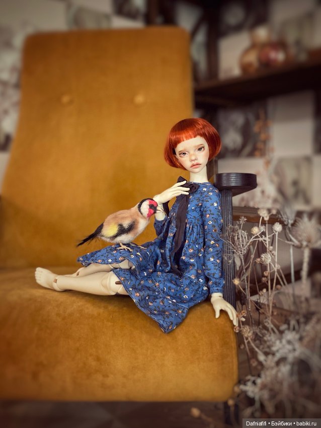 Ильза — Куклы DIM (Doll in Mind): корейские BJD (БЖД) (фото 8)