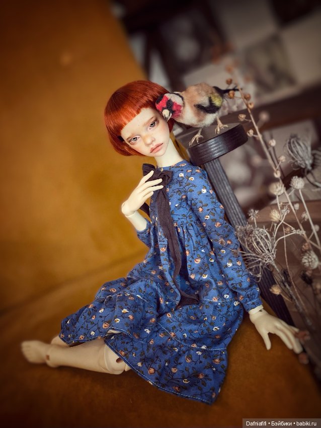 Ильза — Куклы DIM (Doll in Mind): корейские BJD (БЖД)