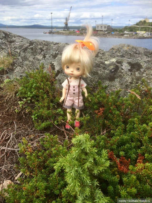 Моя Клепа... или история о том как нас выбирают куклы