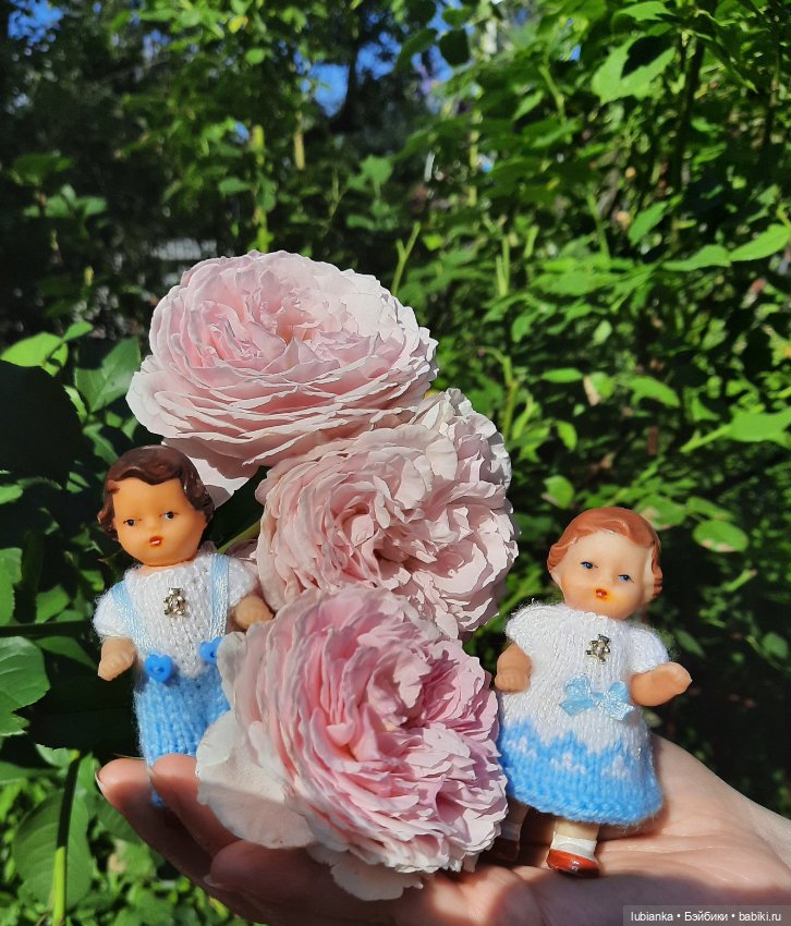Королевская двойня — Винтажные куклы ГДР (Немки): Бигги