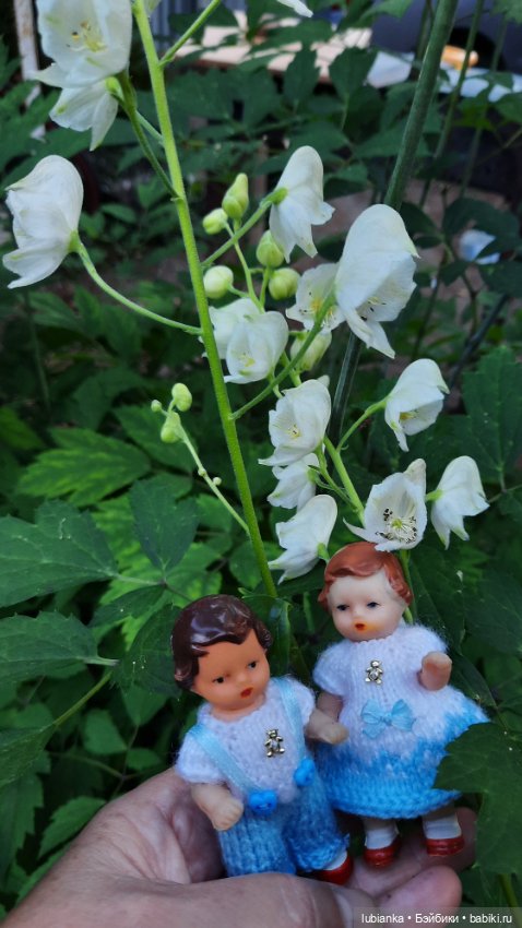 Королевская двойня — Винтажные куклы ГДР (Немки): Бигги