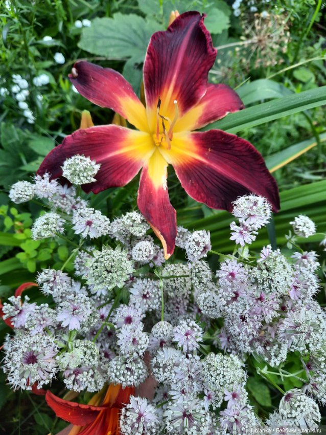 Королевская двойня — Винтажные куклы ГДР (Немки): Бигги (фото 2)