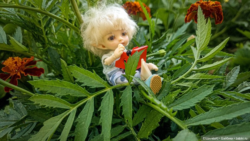 Потеряшка. Realpuki. 172 — Фотоистории с куклами BJD (БЖД): сериалы (фото 6)