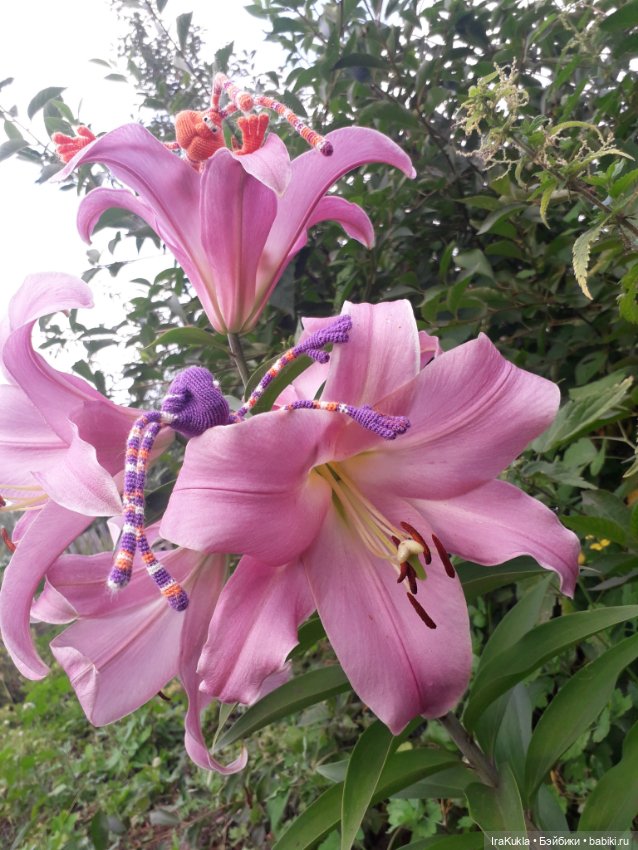 Новая парочка Кренделей — Вязаные игрушки и амигуруми: крючком