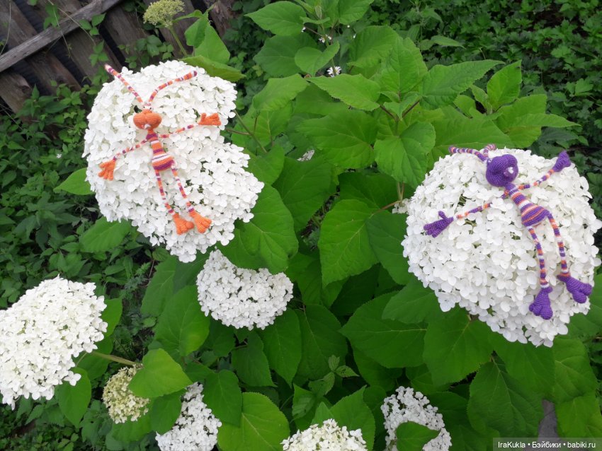 Новая парочка Кренделей — Вязаные игрушки и амигуруми: крючком