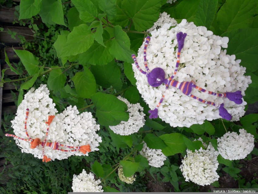 Новая парочка Кренделей — Вязаные игрушки и амигуруми: крючком (фото 10)