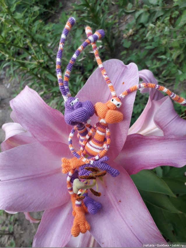 Новая парочка Кренделей — Вязаные игрушки и амигуруми: крючком