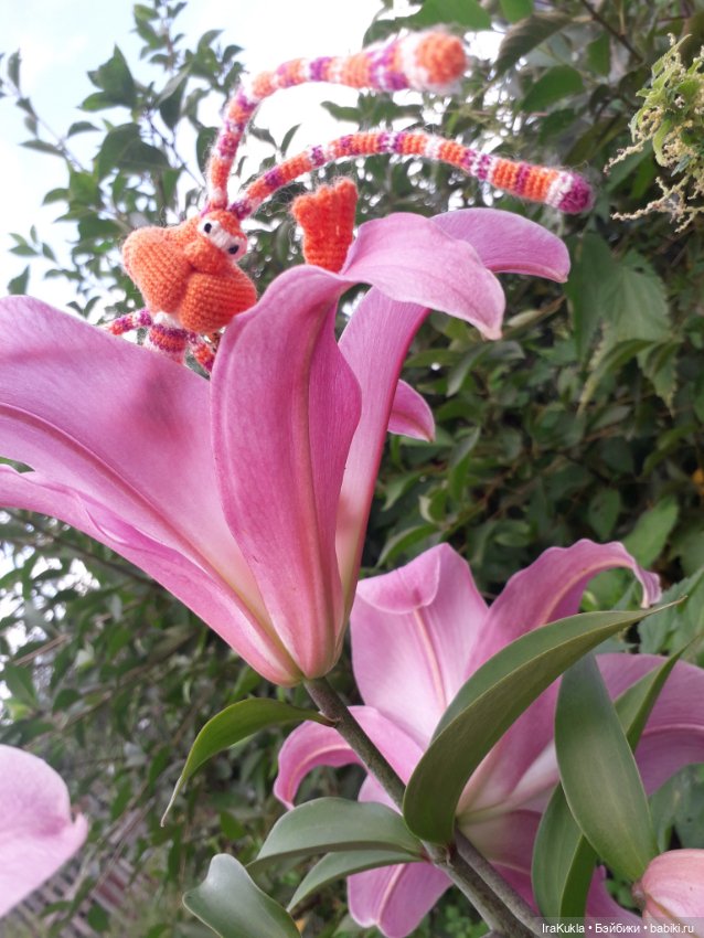 Новая парочка Кренделей — Вязаные игрушки и амигуруми: крючком