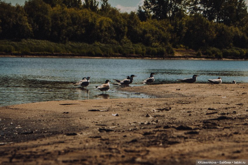 Нельзя пропускать лето — Куклы Fairyland (ФэйриЛэнд): BJD (БЖД) (фото 5)