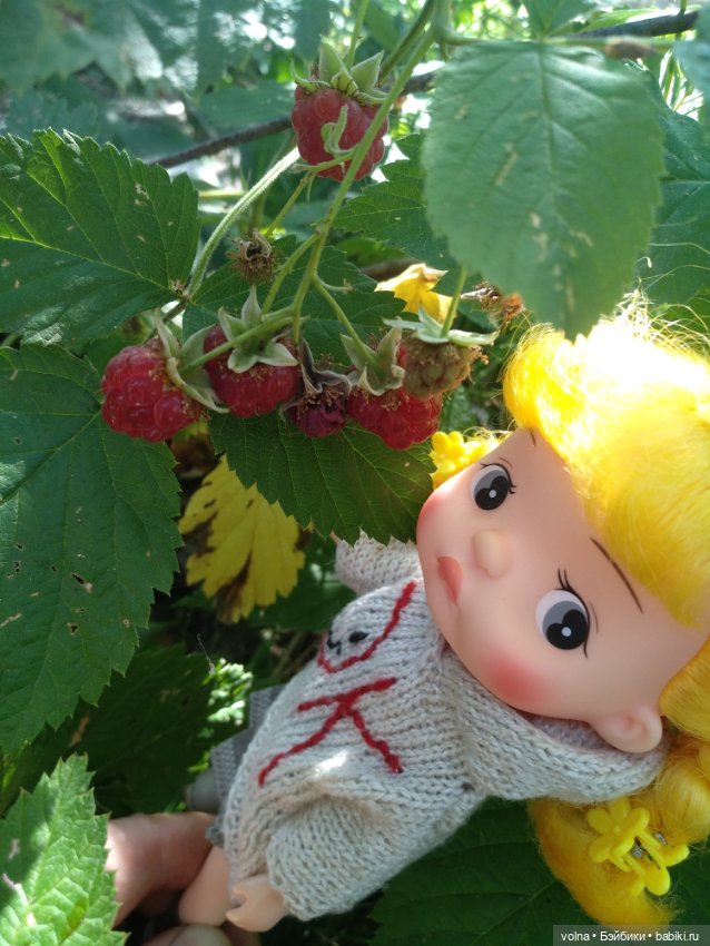 Из жизни маленьких человечков (фото 5)