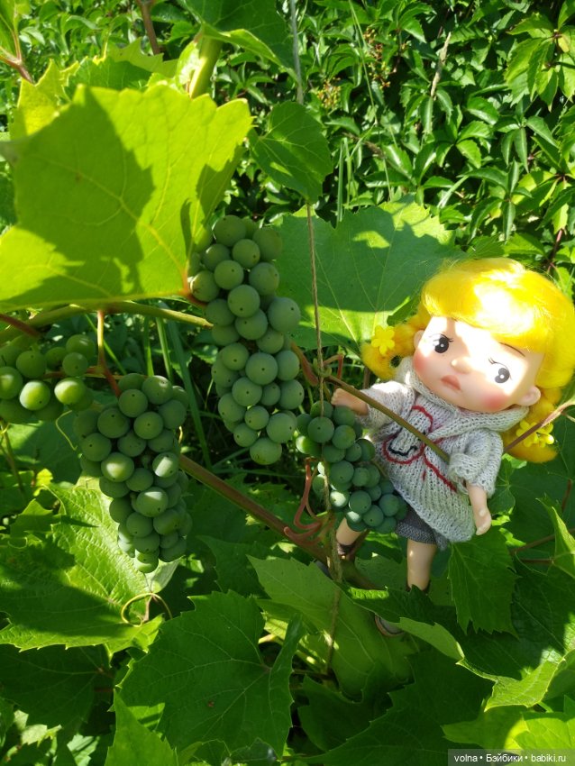 Из жизни маленьких человечков (фото 6)