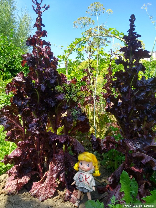 Из жизни маленьких человечков (фото 3)